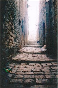aleppo