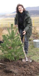 Armenia Tree Project has planted more than 4.4 million trees since its founding 20 years ago by Armenian-American philanthropist Carolyn Mugar and her husband, the late John O’Connor