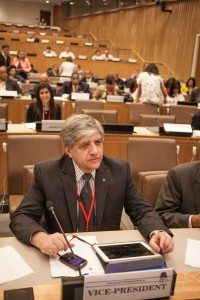 SI Vice-President Mario Nalpatian (ARF, Armenia) at the Council meeting on July 6