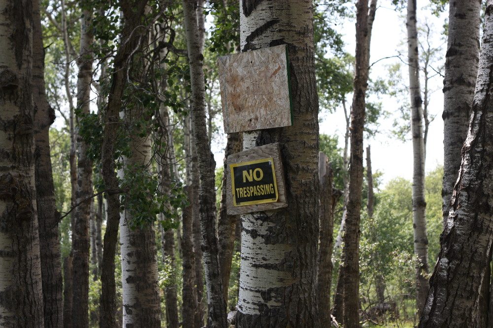 '...I disregarded the "no trespassing" sign as I drove the dirt road entering her family's 40 acres...'