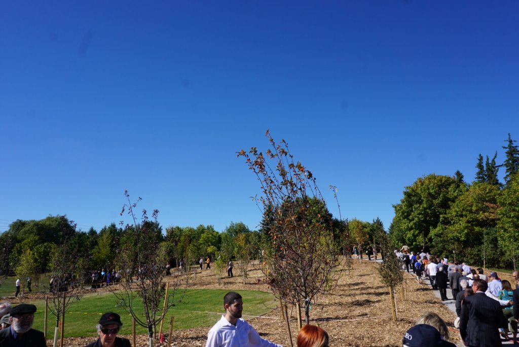 Community members on the inaugural walk through the forest