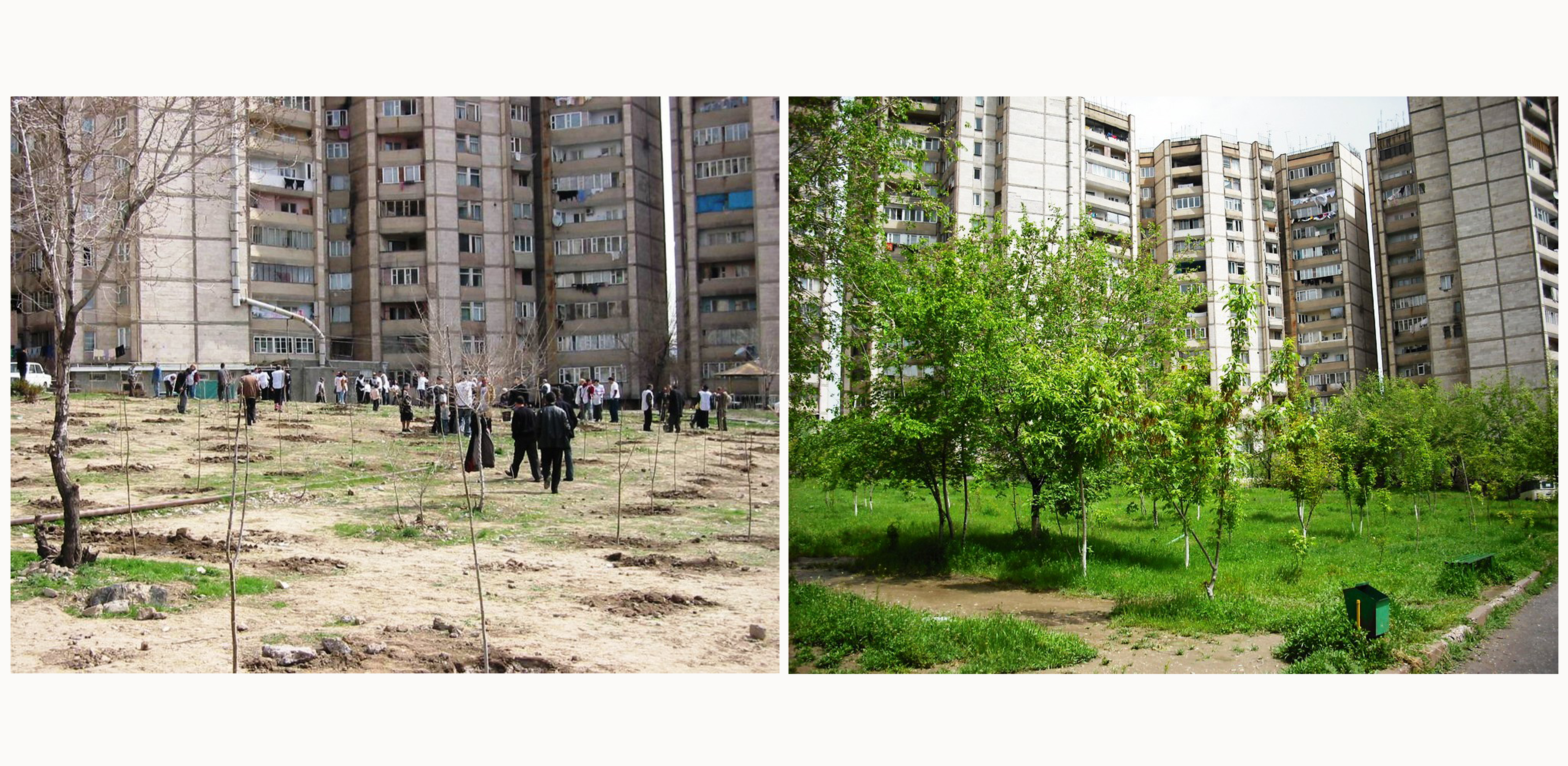 Urban Tree Planting Projects - GreenBlue Urban