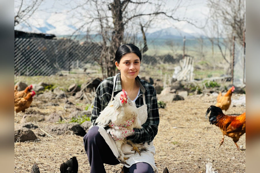 “This is my way of fighting and surviving”: A refugee family rebuilds life after Artsakh