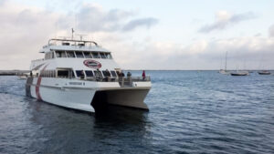 A ferry entering the Boston Harbor